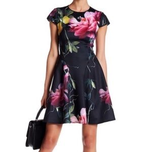 Ted Baker Alissa Citrus Bloom Dress!